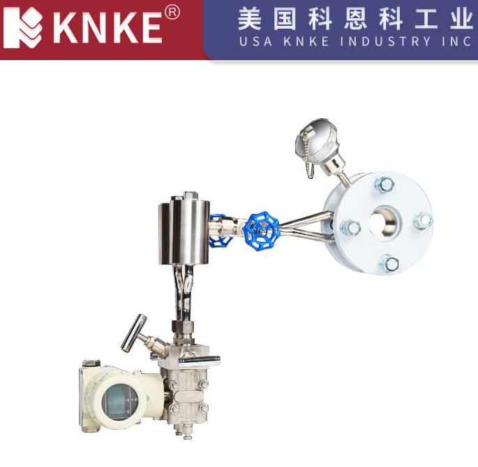 影響質量流量計測量精度的因素